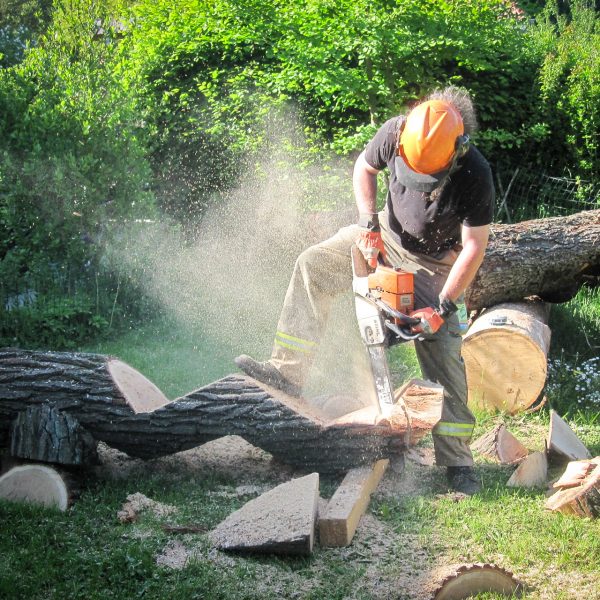 Neue Skulpturen aus Holz – Die Welle